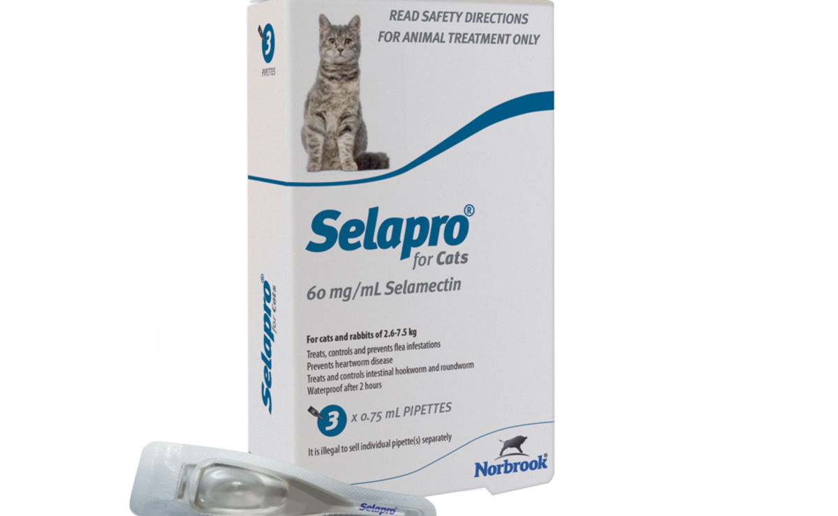 Selapro for Cats