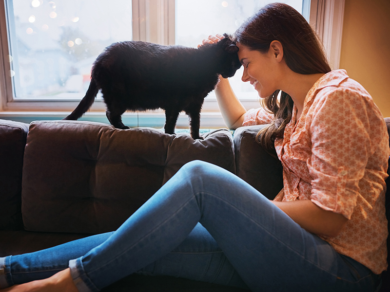 Image of young woman sitting on couch stroking her cat