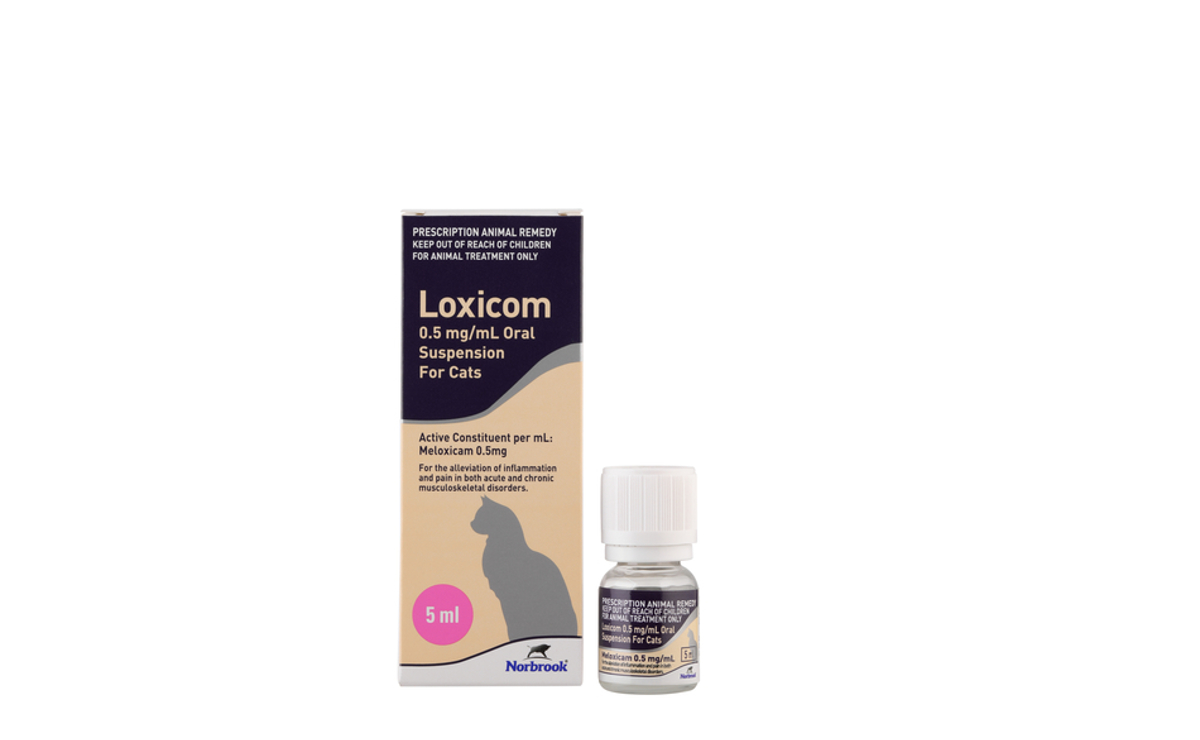 Loxicom 0.5mg/mL Oral Suspension for Cats