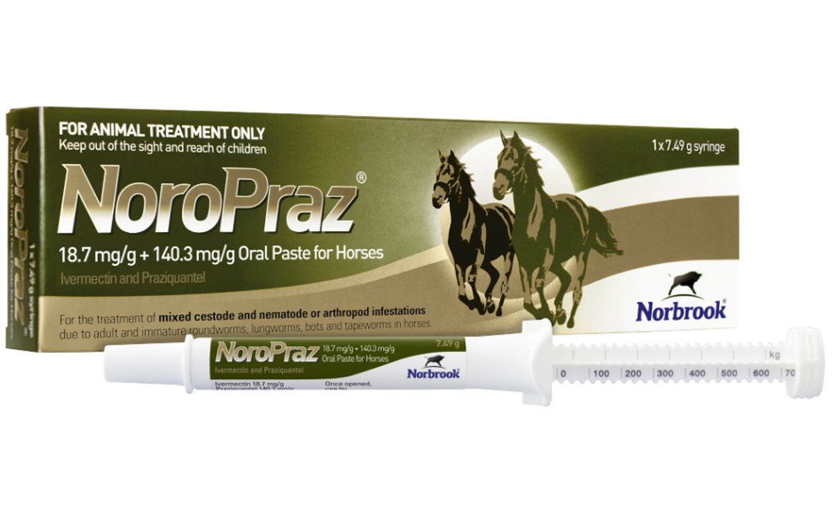 Noropraz Oral Paste