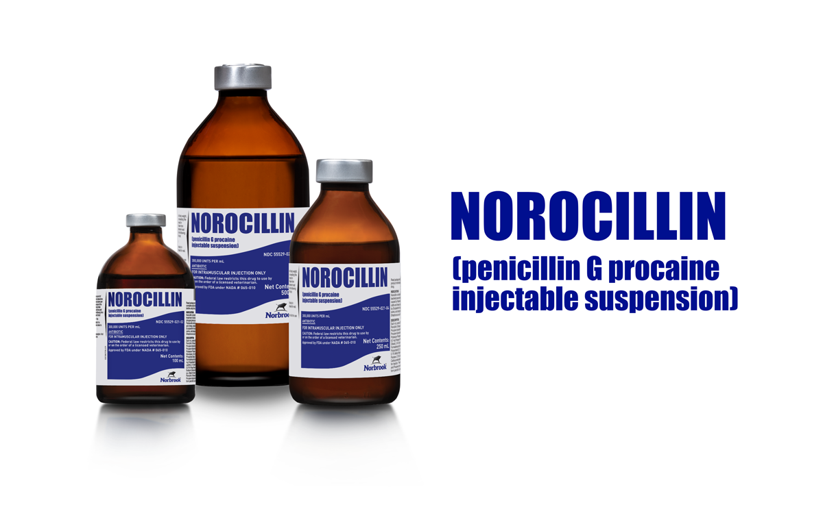 Norocillin® (penicillin G procaine injectable suspension)